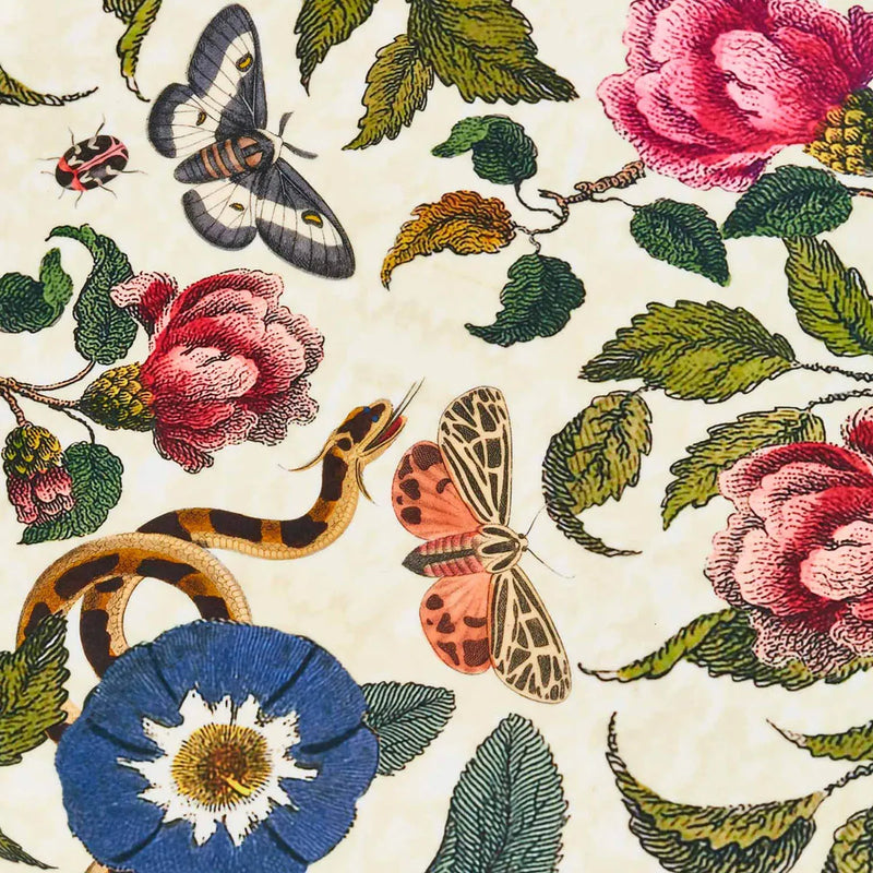 Spode - Creatures of Curiosity - Round Birch Tray Cream 12 Inch - Limolin 