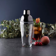 Taylor's Eye Witness - Cocktail Shaker Glass Gunmetal - Limolin 