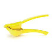 Taylor's Eye Witness - Lemon Press - Limolin 