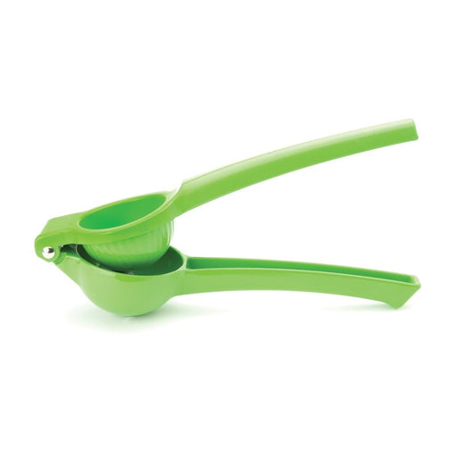 Taylor's Eye Witness - Lime Press - Limolin 