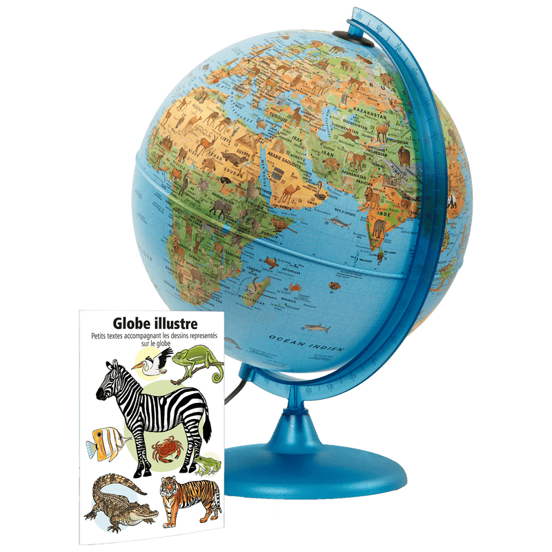 Tecnodidattica - Safari - French - 30Cm - Limolin 