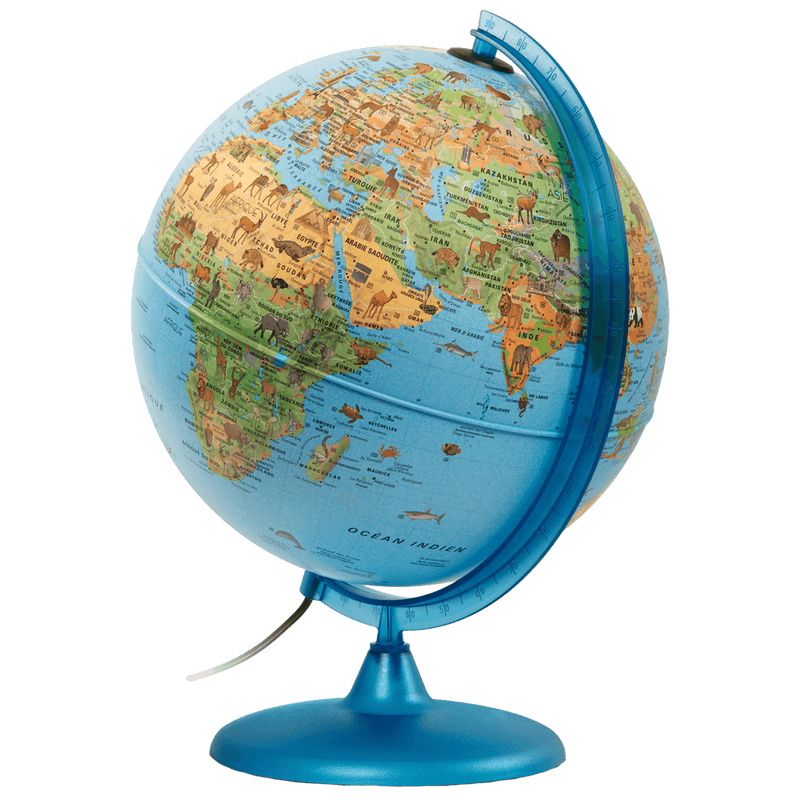 Tecnodidattica - Safari - French - 30Cm - Limolin 