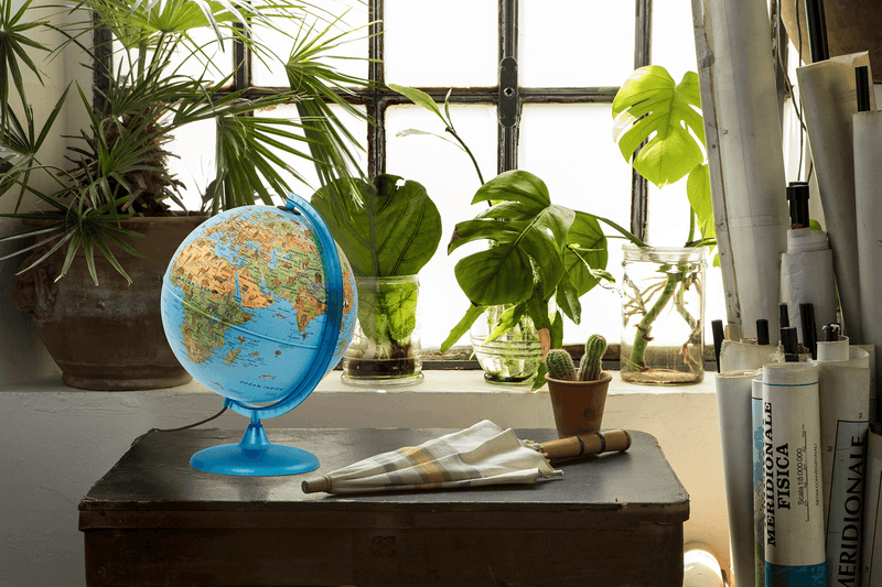 Tecnodidattica - Safari - French - 30Cm - Limolin 