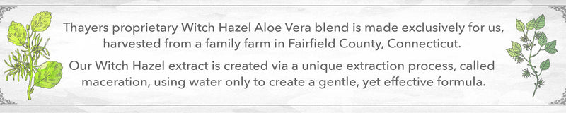 Thayers - Witch Hazel Original w/Alc 355ml - Limolin 