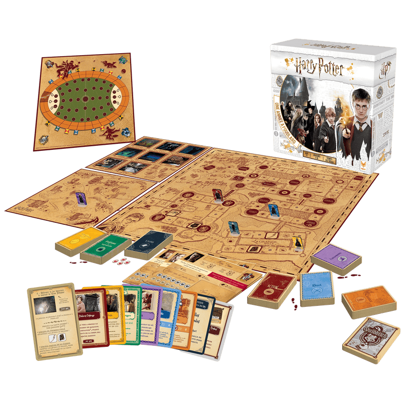 Topi Games Sas - Harry Potter - Une Annee A Poudlard (French) - Limolin 