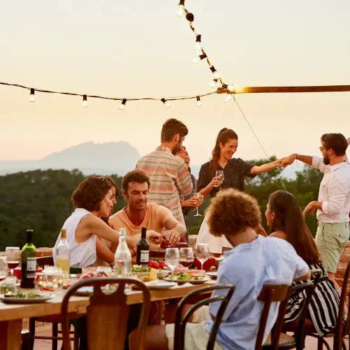 VACUVIN - Active Cooler Wine - Limolin 