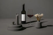 VACUVIN - LOOP Wine Saver - Limolin 