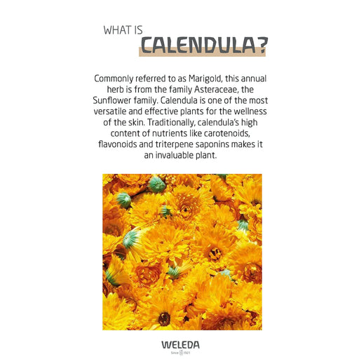 Weleda - Baby Calendula Baby Oil 200 ml - Limolin 