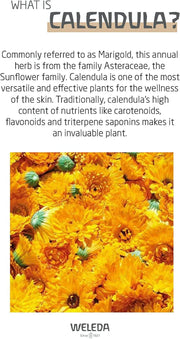 Weleda - Baby Calendula Face Cream 50ml - Limolin 