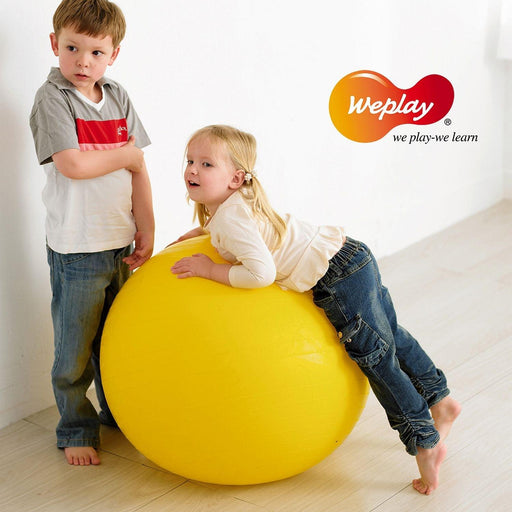 Weplay - Kb1303 - Gym Ball - Limolin 