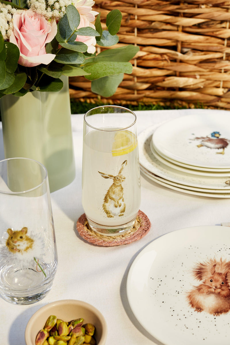 Wrendale DESIGNS - Highball Glasses (Set of 4) | 19 oz - Limolin 