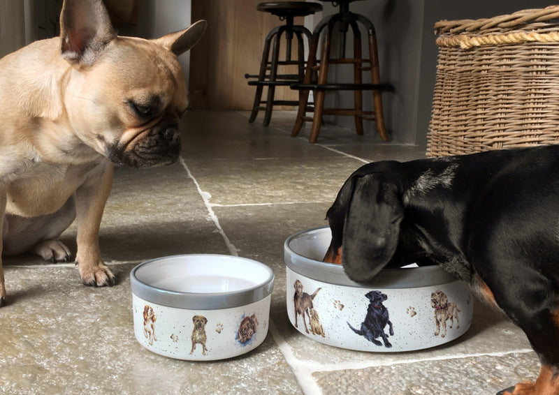 Wrendale DESIGNS - Pet Bowl - Dogs | 6 Inch - Limolin 
