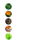 Zax's - Scar Fading Cream 28g - Limolin 