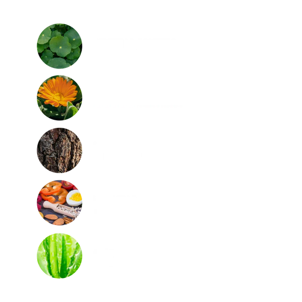 Zax's - Scar Fading Cream 28g - Limolin 