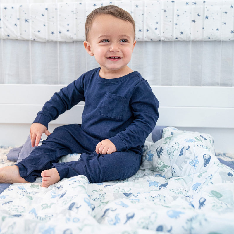 aden + anais - 3Pc Bedding Set Furniture 3pc Bedding Set | Time To Dream - Boy