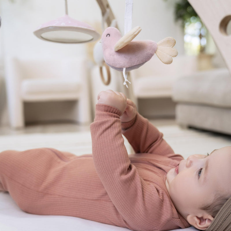 aden + anais - Activity Gym Mother & Baby Girl