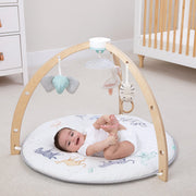 aden + anais - Activity Gym Mother & Baby Neutral