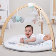 aden + anais - Activity Gym Mother & Baby Neutral