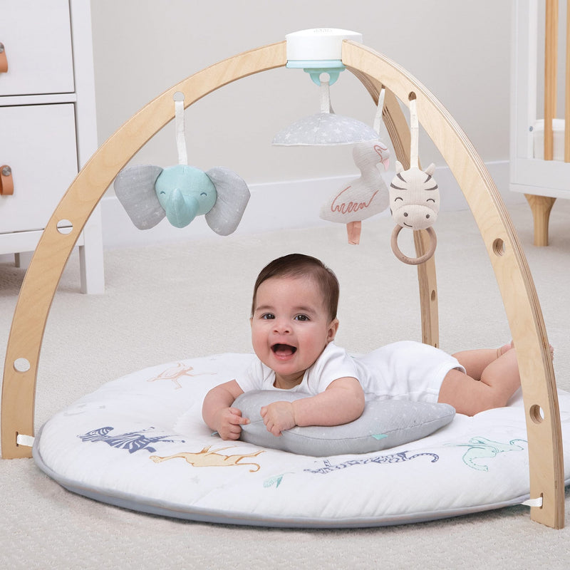aden + anais - Activity Gym Mother & Baby Neutral