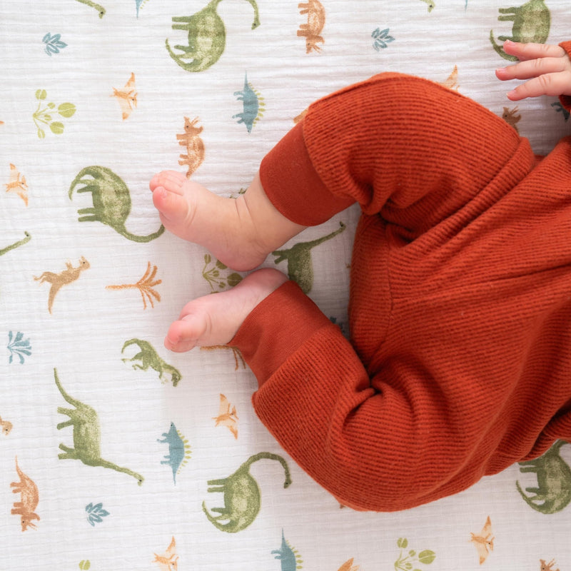 aden + anais - Crib Sheet Furniture Boy