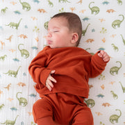 aden + anais - Crib Sheet Furniture Boy