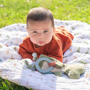aden + anais - Muslin Blanket Mother & Baby Muslin Blanket | Dino Jungle - Boy
