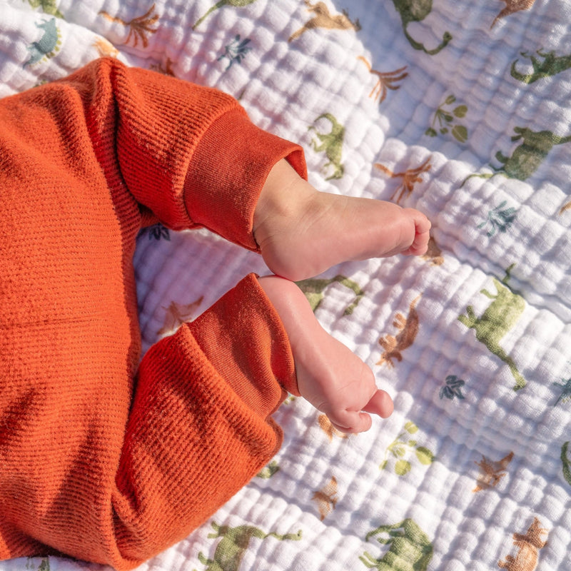 aden + anais - Muslin Blanket Mother & Baby Muslin Blanket | Dino Jungle - Boy