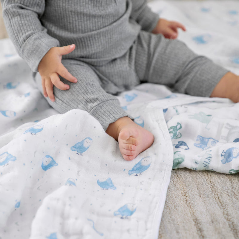 aden + anais - Muslin Blanket Mother & Baby Muslin Blanket | Time To Dream - Boy