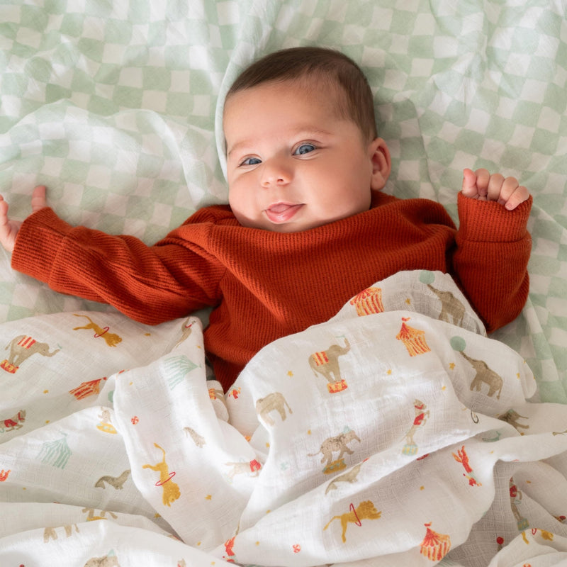aden + anais - Swaddles - Box Mother & Baby Swaddles - Box | Elephant Circus - Neutral