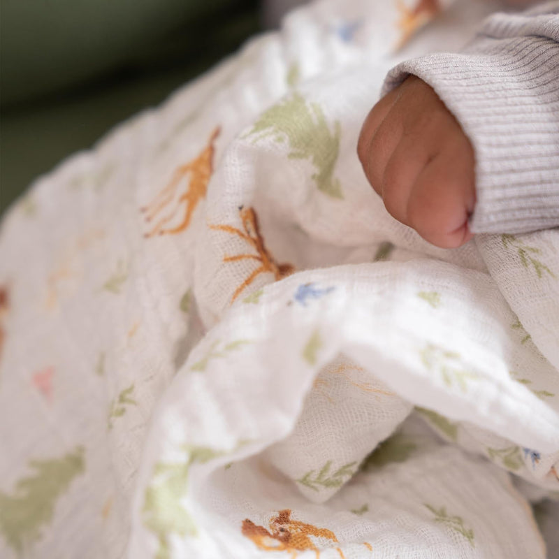 aden + anais - Swaddles Disney + Friends Neutral