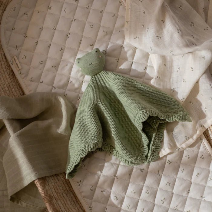 Avery Row - Cuddle Cloth Friendly Frog Home & Kitchen