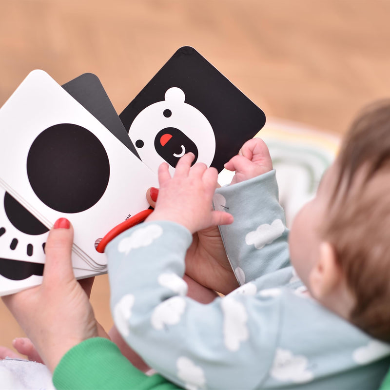 Banana Panda - High Contrast - Flash Cards On A Ring (0 m+) Mother & Baby