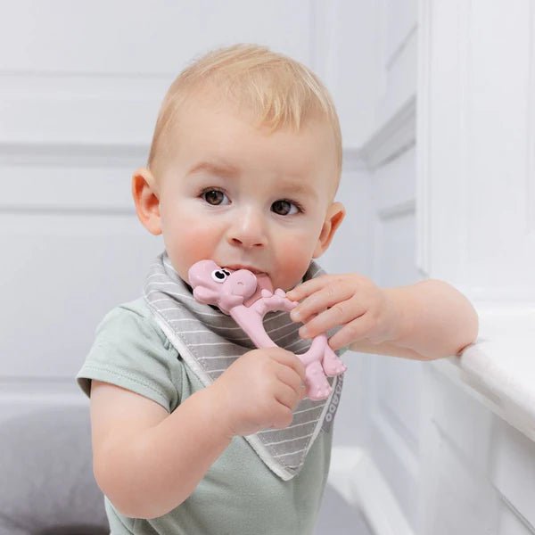 Bibado - Teething Toy: Dotty the Dinosaur™ Mother & Baby Fawn