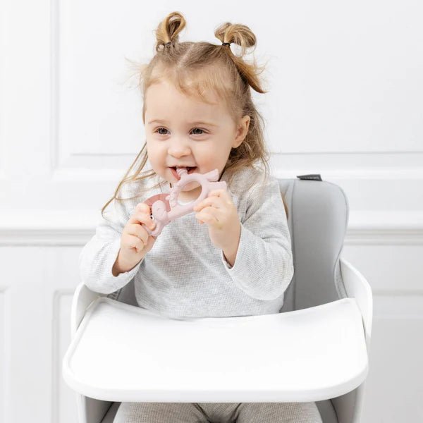 Bibado - Teething Toy: Dotty the Dinosaur™ Mother & Baby Fawn