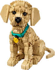 LEGO Icons Golden Retriever Puppy (11384)