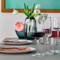 Bormioli Rocco - Planeo XL Red Wine (Set of 4)- 555mL