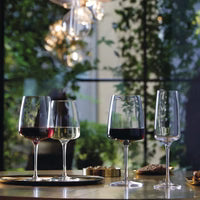 Bormioli Rocco - Planeo Red Wine x4