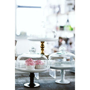 Brilliant - CAKE STAND & DOME 25CM - WHITE Home & Kitchen