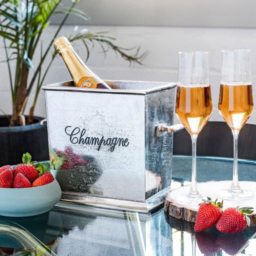 Brilliant - CHAMP.COOLER ALUMINUM 2 BTLS Home & Kitchen