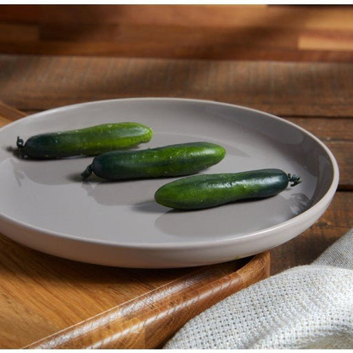 Brilliant - HIP ANGORA PLATE 22CM SET/4 Home & Kitchen