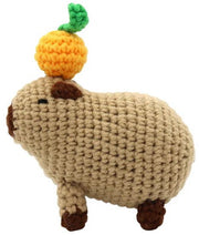 Broderie - CHILL CAPYBARA DIY CROCHET KIT Arts & Entertainment