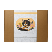 Broderie - KITTY PUNCH NEEDLE RUG KIT Arts & Crafts
