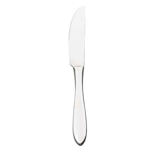 Browne - ECLIPSE Dinner Knife, Serrated, 9.1"/23.1cm, 13/0 SS, 108gr, Mirror Finish Home & Kitchen
