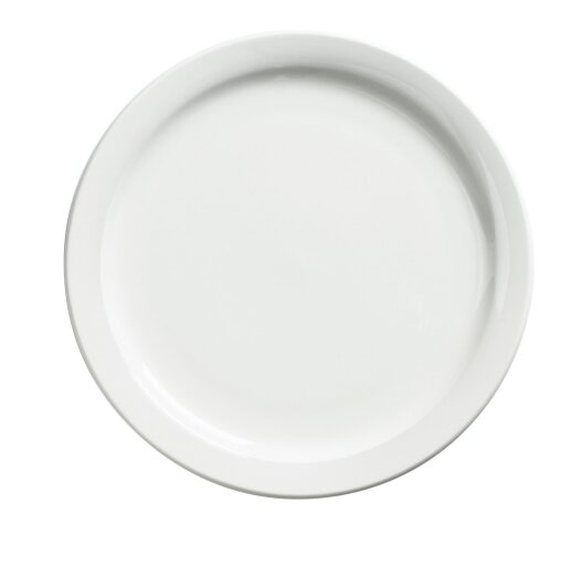 Browne - PALM Dinner Plate, D - 9.5"/24.1cm, Porcelain, White Home & Kitchen
