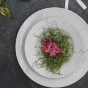 Browne - PALM Side Plate, 5.5"/14cm, Wide Rim, Porcelain, White Home & Kitchen