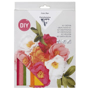 Clairefontaine - CREPE PAPER KIT, BUNCH OF FLOWERS, 8x0.50x11.75 Arts & Crafts