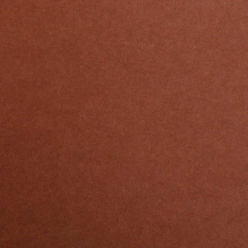Clairefontaine - Maya Cardboard 120g Brown 25 Sheets A4 8.25x11.75in Arts & Entertainment