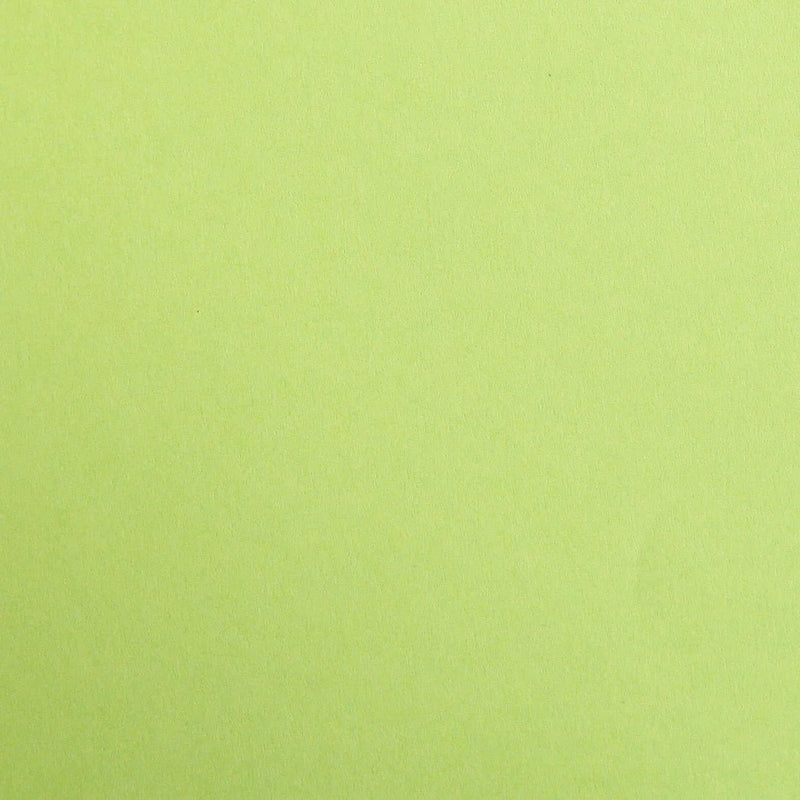 Clairefontaine - Maya Cardboard 120g Moss Green 25 Sheets A4 8.25x11.75in Arts & Crafts