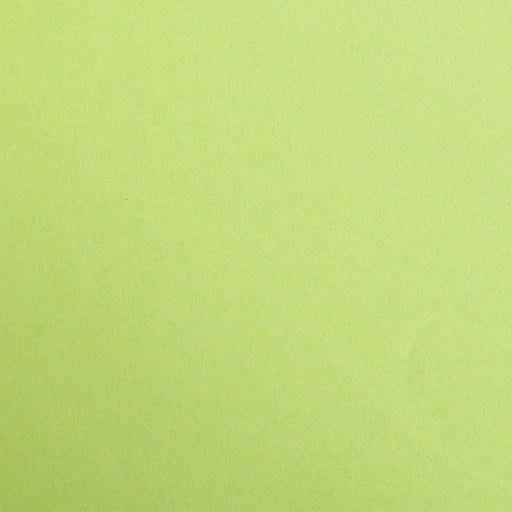 Clairefontaine - Maya Cardboard 120g Moss Green 25 Sheets A4 8.25x11.75in Arts & Crafts