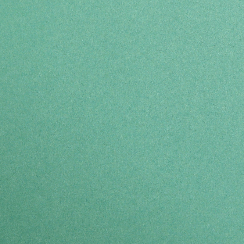 Clairefontaine - Maya Cardboard 25 Sheets Toys & Games Dark Green 8.25x11.75in